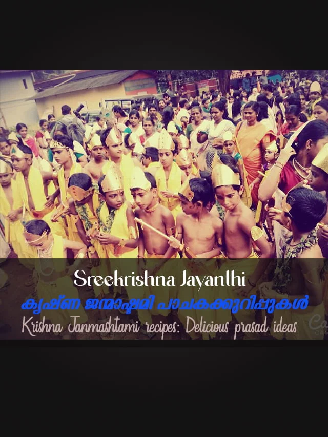 Srikrishna Jayanthi-webstories-thumbnail-1